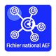 Tableau statistique AEF sur mesure